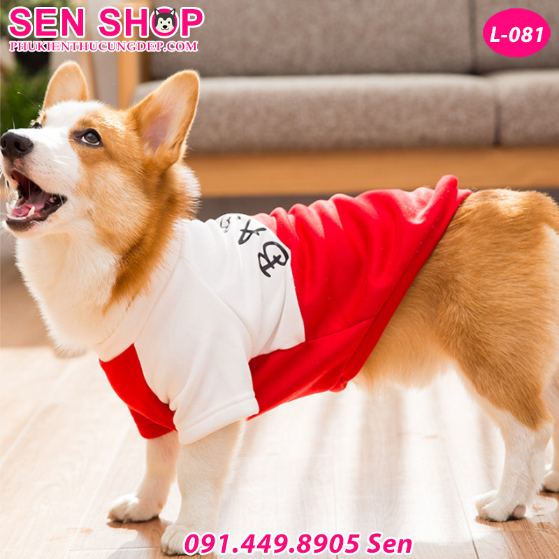 áo cho chó corgi