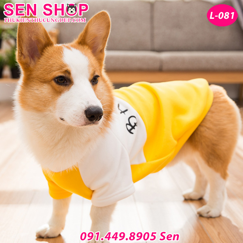 áo cho chó corgi