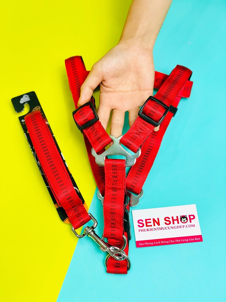 dây xích chó lớn