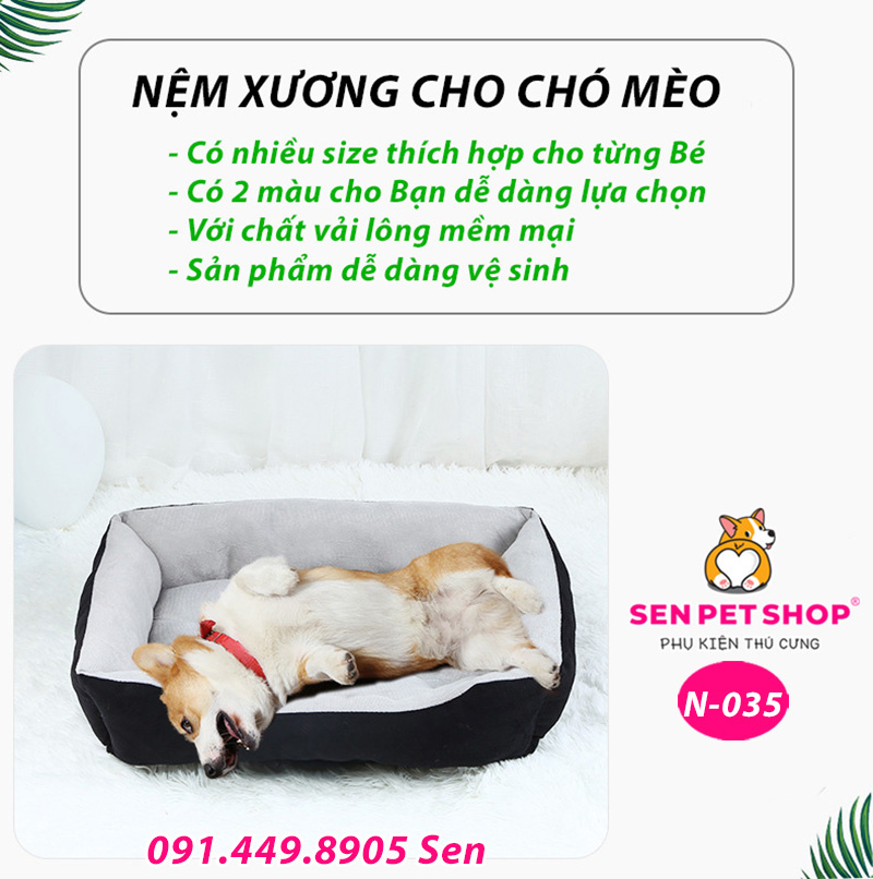 NỆM CHO CHÓ HÌNH XƯƠNG