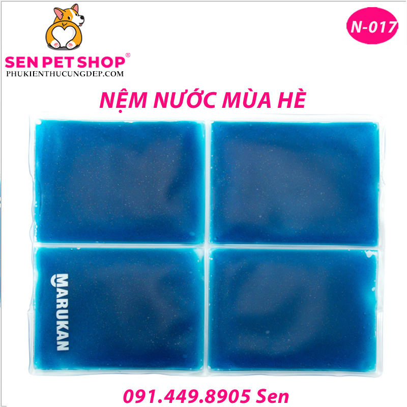 NỆM NƯỚC CHO CHÓ BLUE