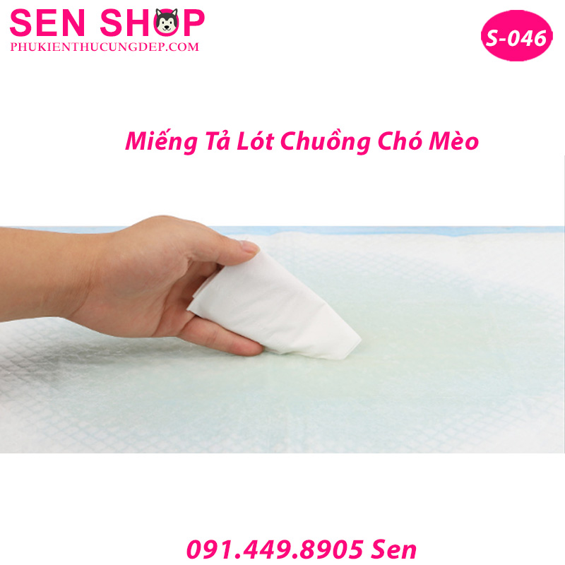 tả lót chuồng chó