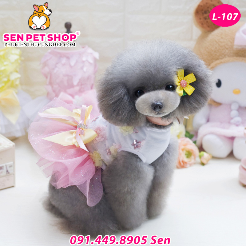 váy cho chó poodle