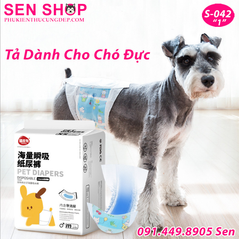 TẢ CHO CHÓ ĐỰC