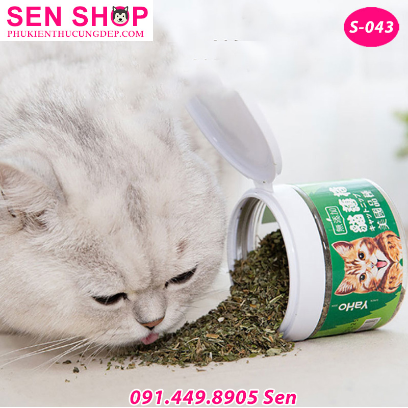 Cỏ Bạc Hà Mèo Catnip Giúp Hoàng Thượng Thư Giản Giảm Stress Cỏ Bạc Hà Mèo Catnip Giúp Hoàng Thượng Thư Giản Giảm Stress