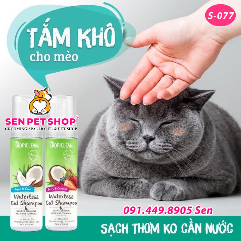 SỮA TẮM KHÔ TROPICLEAN