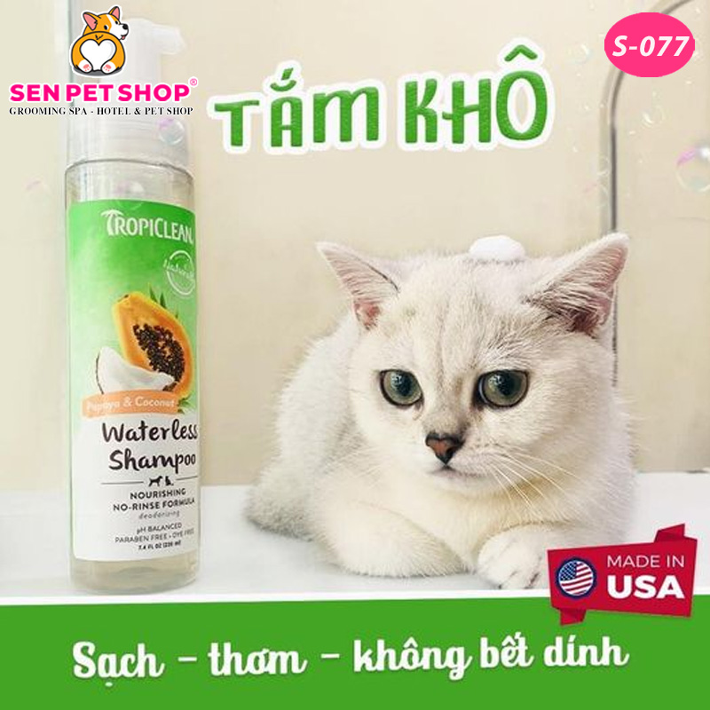 SỮA TẮM KHÔ TROPICLEAN