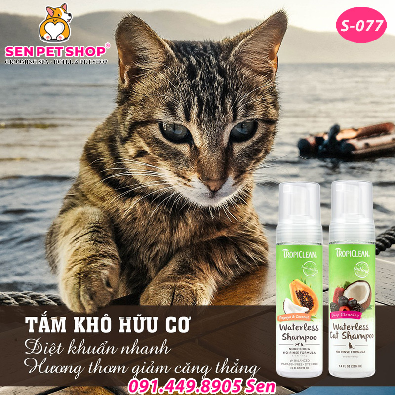 SỮA TẮM KHÔ TROPICLEAN