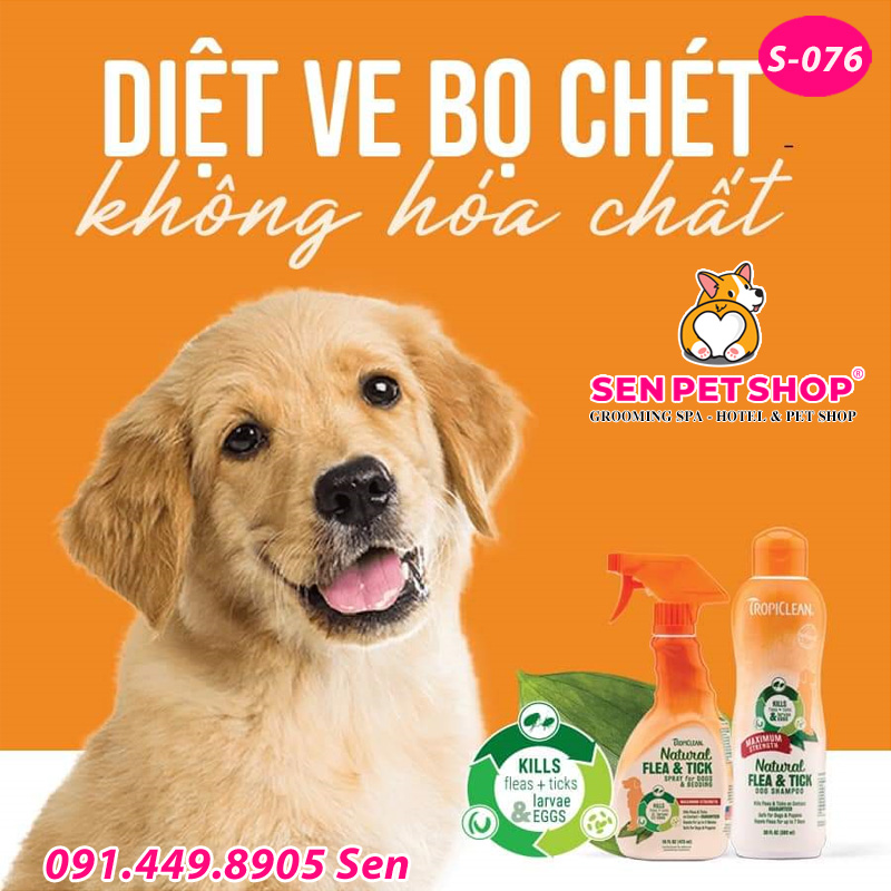 sữa tắm trị ve chó