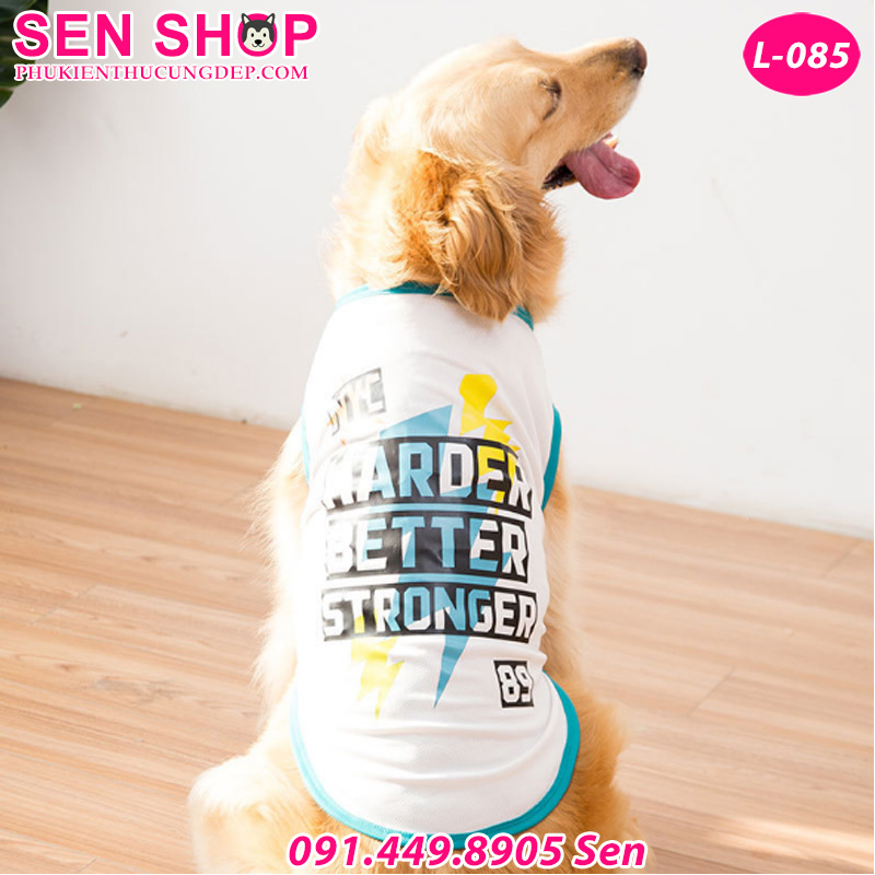Hướng Dẫn Cách Đeo Dây Dắt Chó Mèo