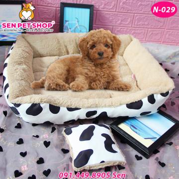 NỆM CHO CHÓ POODLE BÒ SỮA 