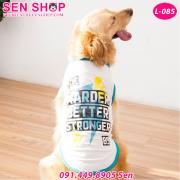 Hướng Dẫn Cách Đeo Dây Dắt Chó Mèo